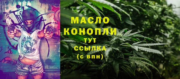 дмт Киреевск
