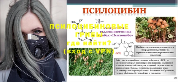 apvp Козловка
