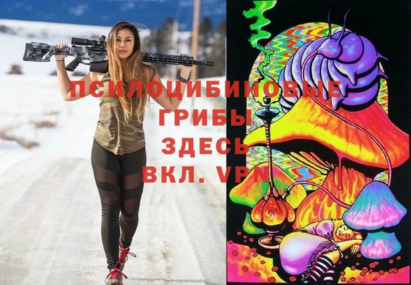 трава Мурманск