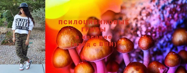 амф Костерёво