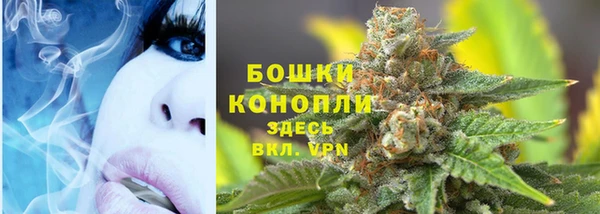 соль ск Кодинск
