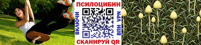 Псилоцибиновые грибы Magic Shrooms  дарнет шоп  Кохма 